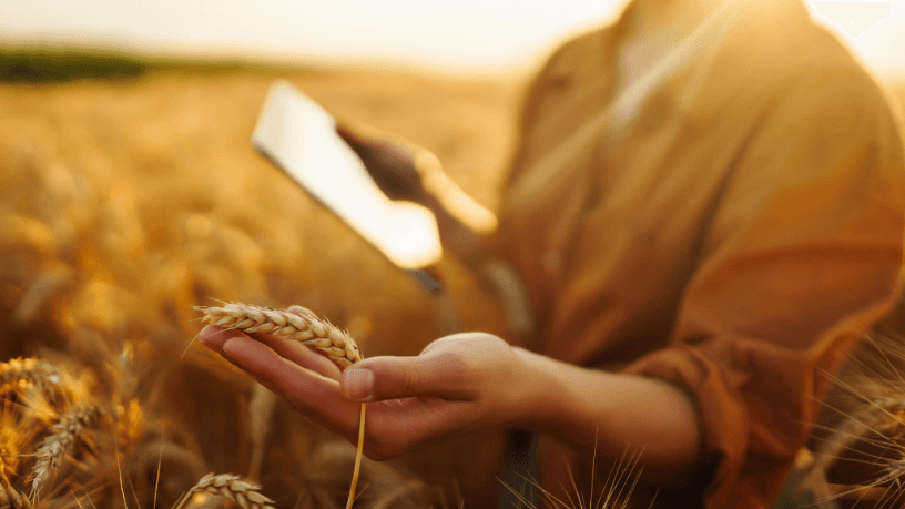 O uso de tecnologia energética no campo aumenta a eficiência, como destaca Aldo Vendramin.