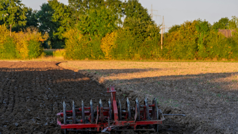 Tecnologia e dados estão revolucionando a produtividade no campo, destaca Aldo Vendramin.