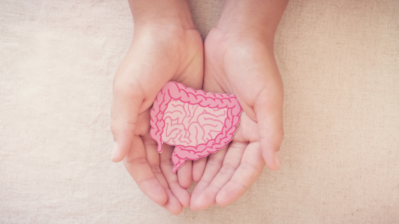 Ao abordar o eixo intestino-cérebro, Alexandre Costa Pedrosa destaca por que escolhas alimentares impactam neurotransmissores, humor e bem-estar emocional.