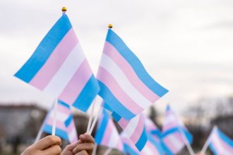 A Discussão sobre Cotas Trans no Sistema de Justiça e a Modernização da Governança Institucional