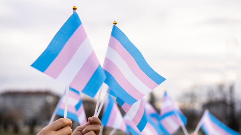 A Discussão sobre Cotas Trans no Sistema de Justiça e a Modernização da Governança Institucional
